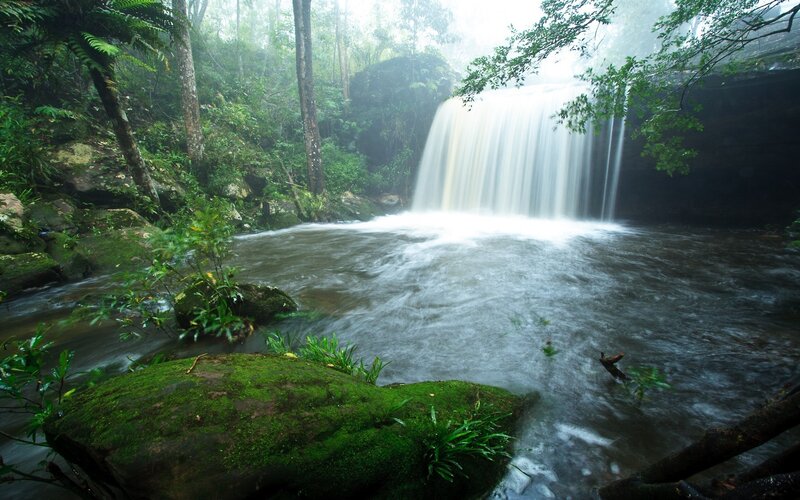 Waterfall in Forest — Green, Serene, Morning, Photograph, Trees, Moss, River