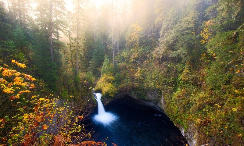 Waterfall in Forest — Green, Serene, Morning, Photograph, Trees, River, Moss, Blue
