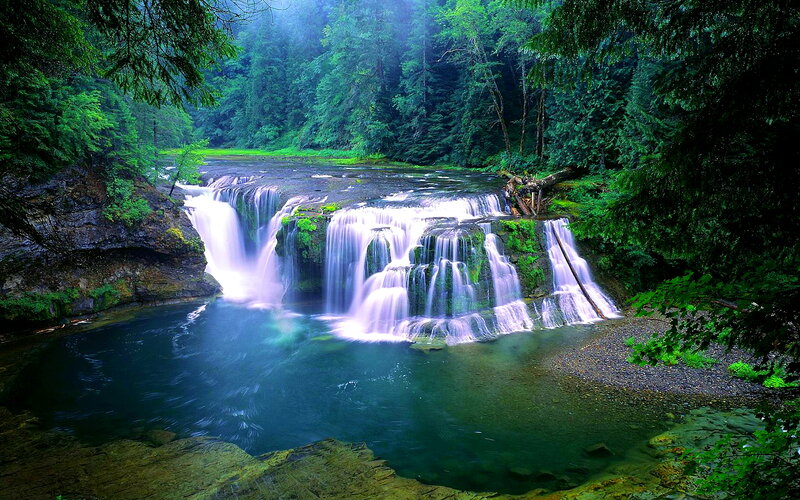 Waterfall in Forest — Green, Serene, Morning, Photograph, Trees, River, Rocks