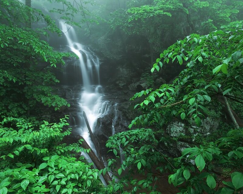 Waterfall in Forest — Green, Serene, Morning, Photograph, Trees, Rocks, Mist