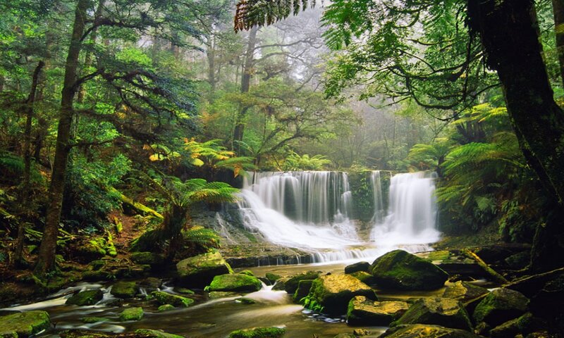 Waterfall in Forest — Green, Serene, Morning, Photograph, Trees, Rocks, Moss