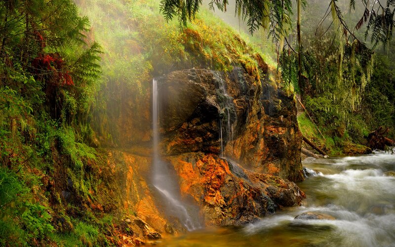 Waterfall in Forest — Green, Serene, Morning, Photograph, Trees, Rocks, River