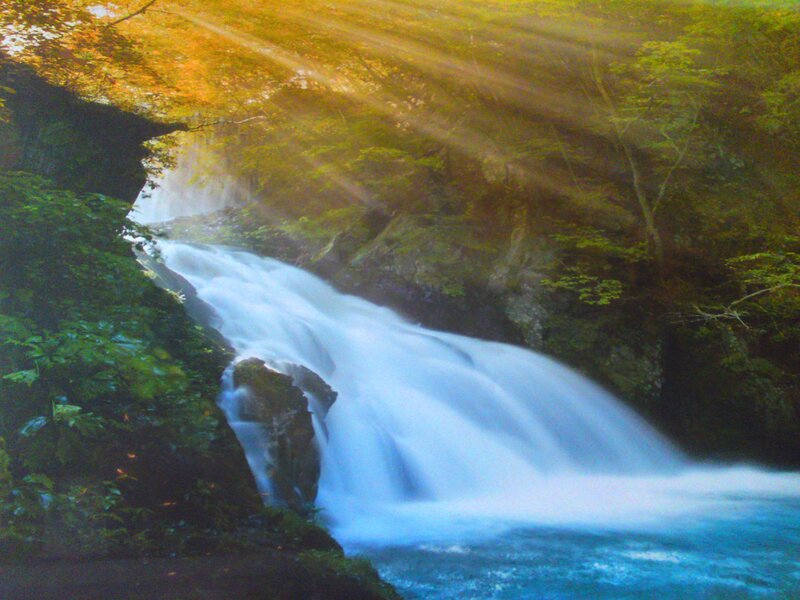 Waterfall in Forest — Green, Serene, Morning, Photograph, Trees, Rocks, Sunlight