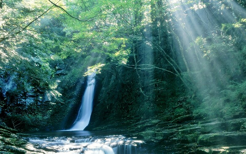 Waterfall in Forest — Green, Serene, Morning, Photograph, Trees, Sunlight, River, Blue
