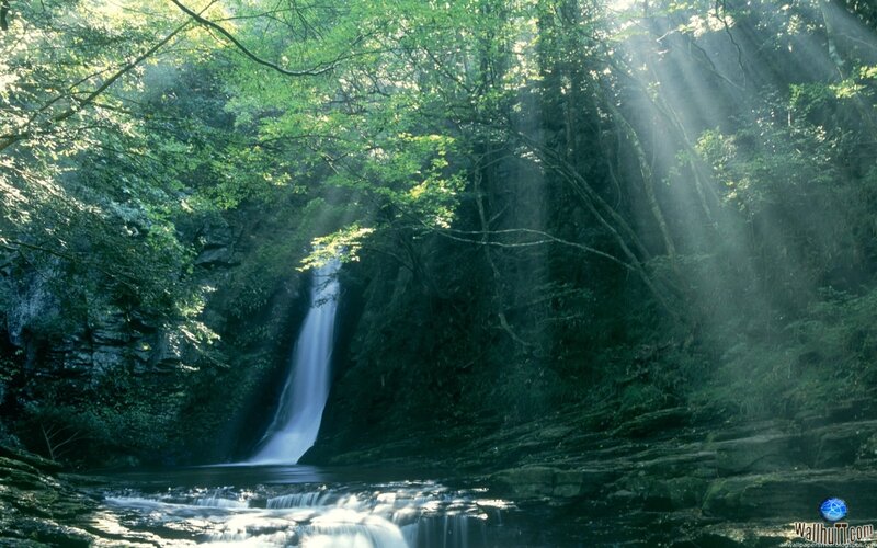 Waterfall in Forest — Green, Serene, Morning, Photograph, Trees, Sunlight, River, Blue, White