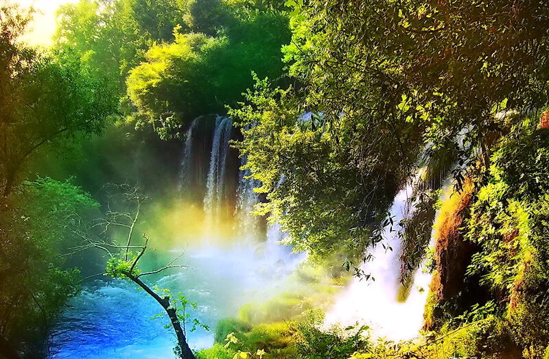 Waterfall in Forest — Green, Serene, Morning