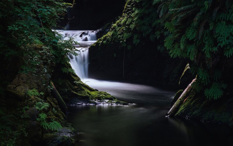 Waterfall in Forest — Green, Serene, Night, Photograph, Trees, Moss