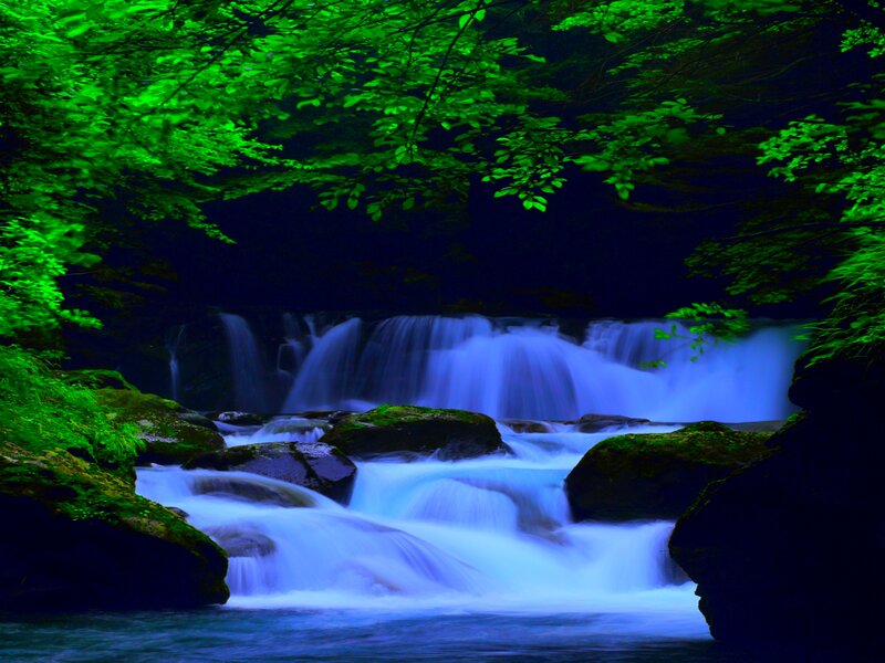 Waterfall in Forest — Green, Serene, Night, Photograph, Trees, Rocks