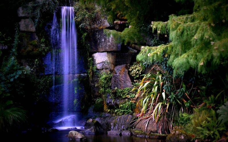 Waterfall in Forest — Green, Serene, Night, Photograph, Trees