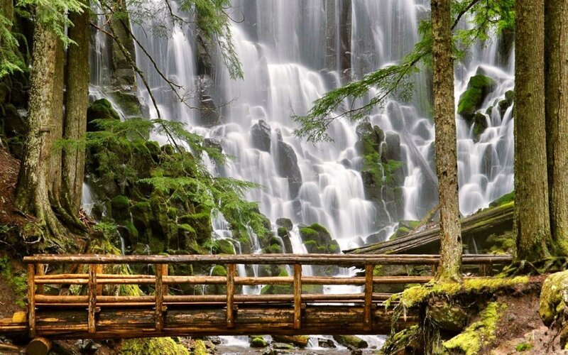 Waterfall in Forest — Green, Serene, Photograph, Bridge