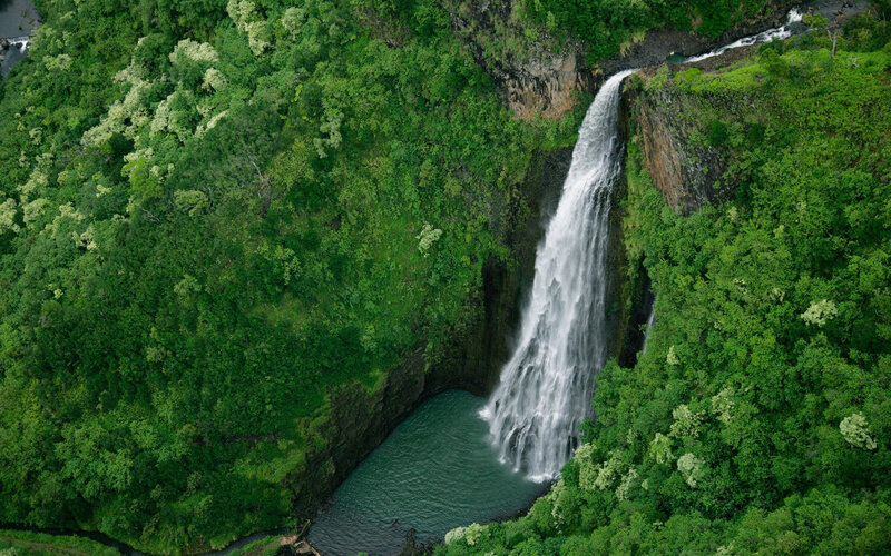 Waterfall in Forest — Green, Serene, Photograph, Cliff, Pool