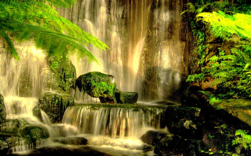 Waterfall in Forest — Green, Serene, Photograph, Fern, Rock