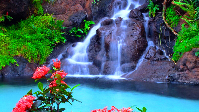Waterfall in Forest — Green, Serene, Photograph, Flowers