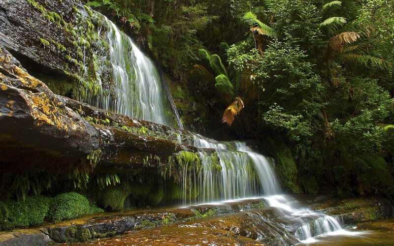 Waterfall in Forest — Green, Serene, Photograph, Moss, Ferns, Rocks
