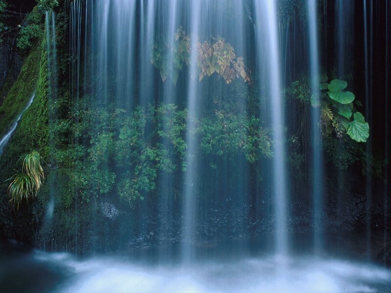 Waterfall in Forest — Green, Serene, Photograph, Moss, Plants, Stream