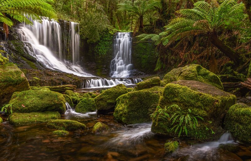 Waterfall in Forest — Green, Serene, Photograph, Moss, Rocks, Ferns