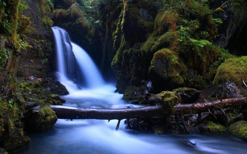 Waterfall in Forest — Green, Serene, Photograph, Moss, Rocks, Log