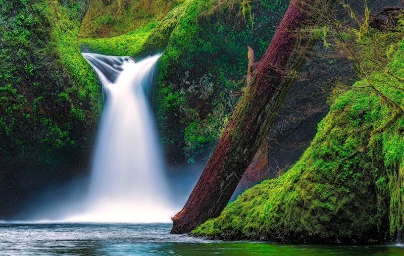 Waterfall in Forest — Green, Serene, Photograph, Moss, Tree