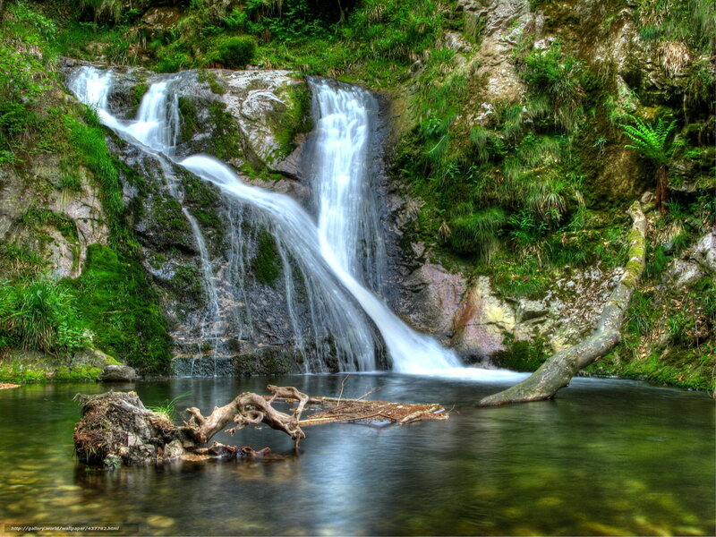 Waterfall in Forest — Green, Serene, Photograph, Moss, Trees, Pool