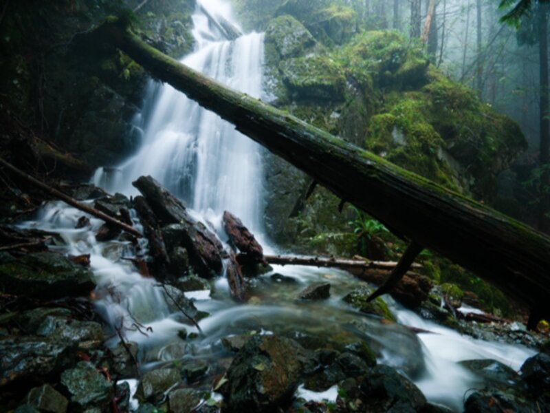 Waterfall in Forest — Green, Serene, Photograph, Moss, Trees