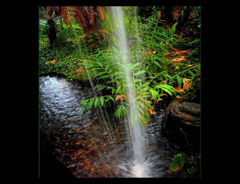 Waterfall in Forest — Green, Serene, Photograph, Plants, Stream