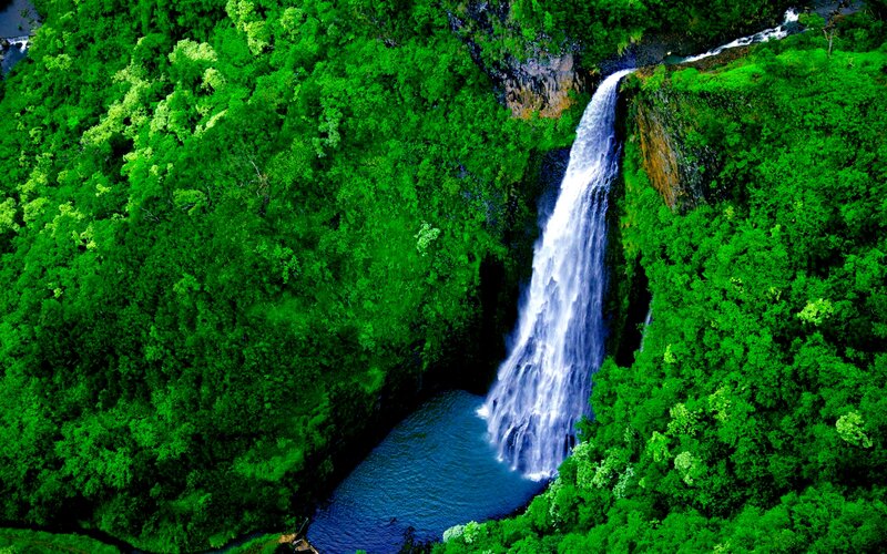 Waterfall in Forest — Green, Serene, Photograph, River, Cliff