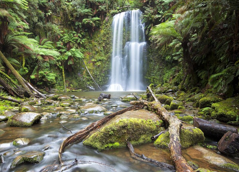 Waterfall in Forest — Green, Serene, Photograph, River, Moss, Fern