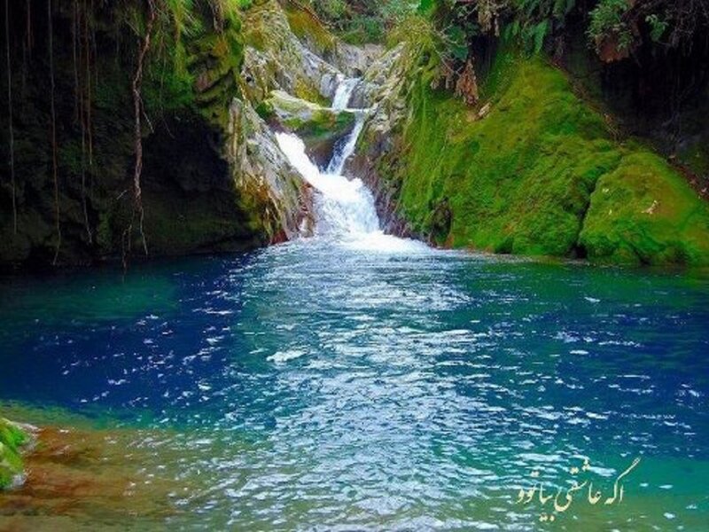 Waterfall in Forest — Green, Serene, Photograph, River, Moss, Rocks