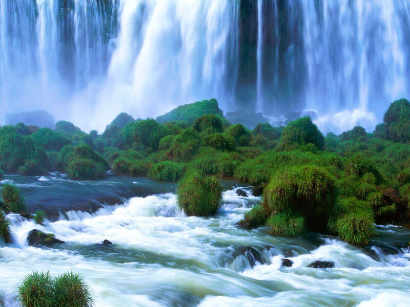 Waterfall in Forest — Green, Serene, Photograph, River, Plants