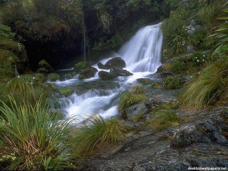 Waterfall in Forest — Green, Serene, Photograph, River, Rocks, Grass