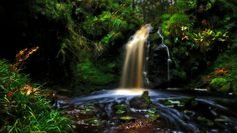 Waterfall in Forest — Green, Serene, Photograph, River, Rocks, Moss