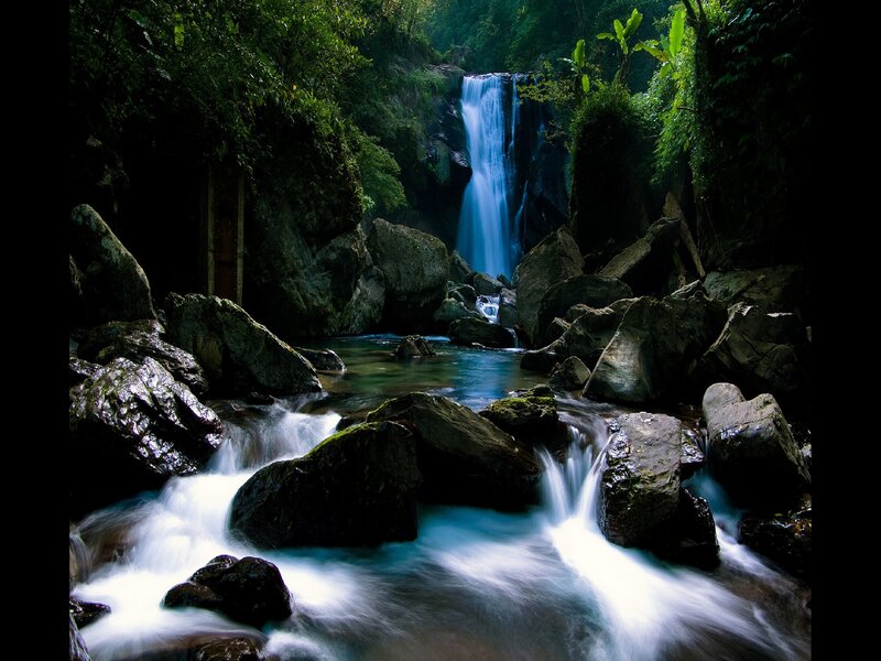 Waterfall in Forest — Green, Serene, Photograph, River, Rocks, Trees