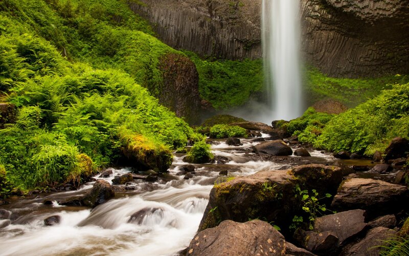 Waterfall in Forest — Green, Serene, Photograph, River, Rocks, Vegetation, Brown