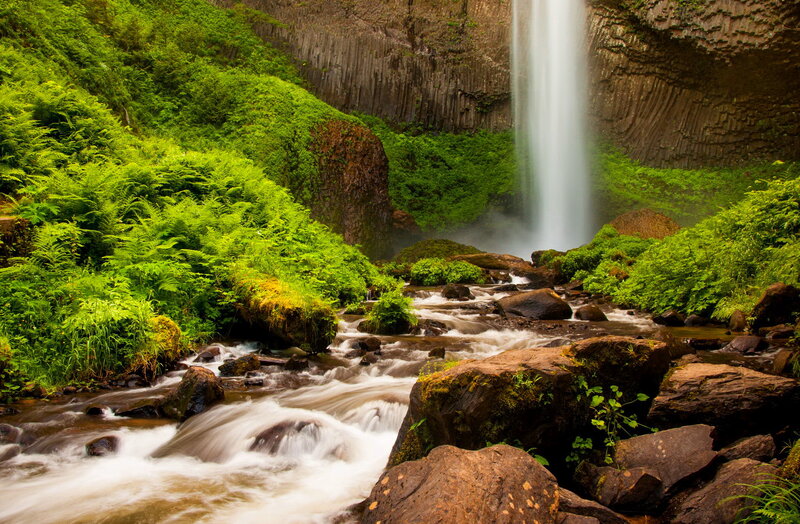 Waterfall in Forest — Green, Serene, Photograph, River, Rocks, Vegetation