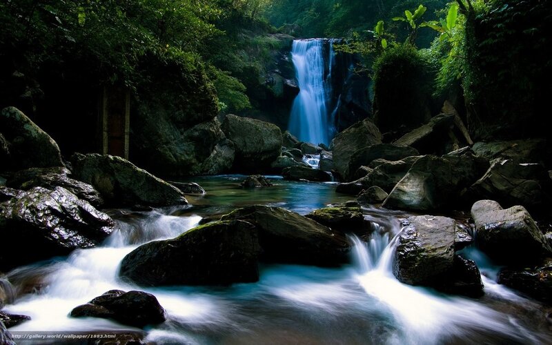 Waterfall in Forest — Green, Serene, Photograph, River