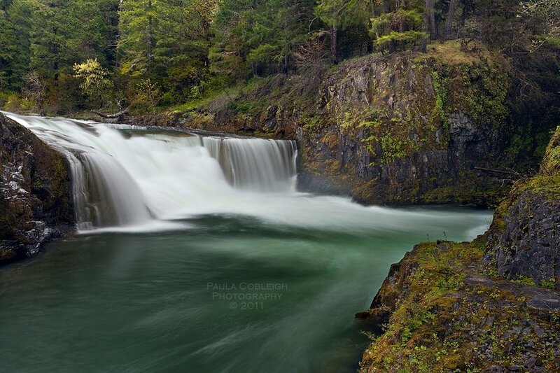 Waterfall in Forest — Green, Serene, Photograph, River, Trees