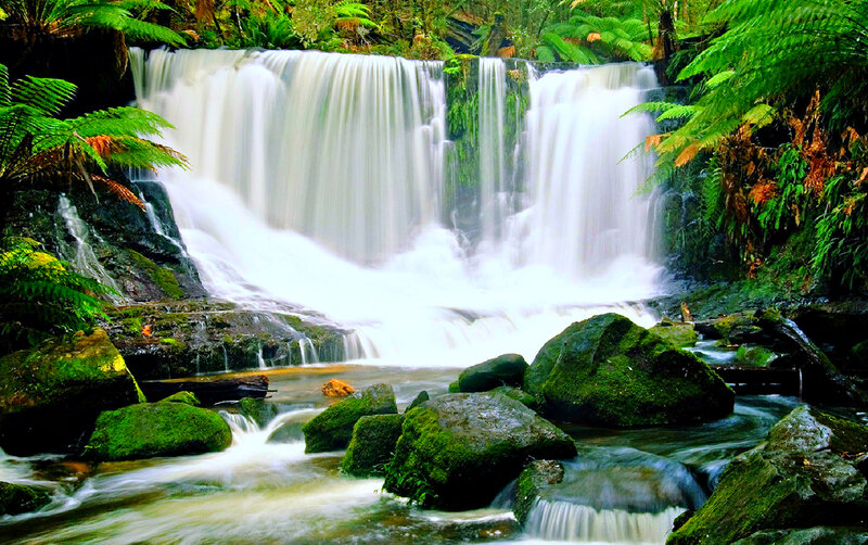 Waterfall in Forest — Green, Serene, Photograph, Rocks, Ferns, Stream