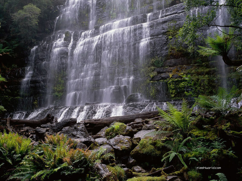 Waterfall in Forest — Green, Serene, Photograph, Rocks, Ferns, Trees, Gray