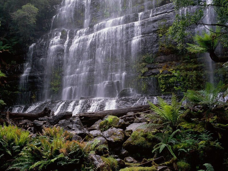 Waterfall in Forest — Green, Serene, Photograph, Rocks, Ferns, Trees, Moss