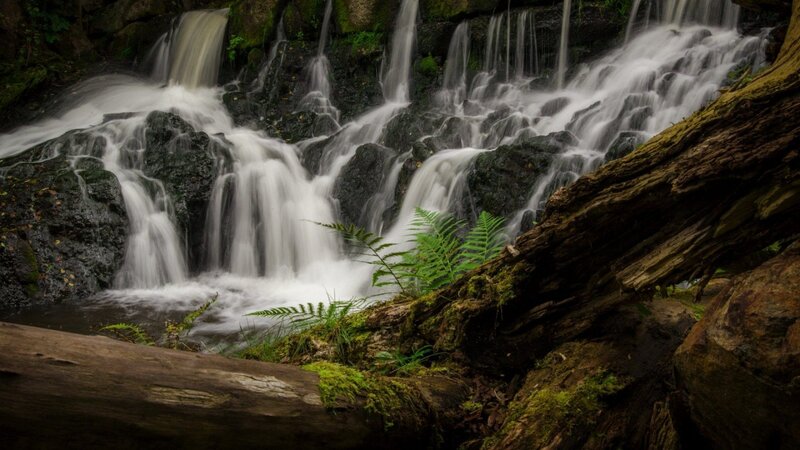 Waterfall in Forest — Green, Serene, Photograph, Rocks, Moss, Fern, Log