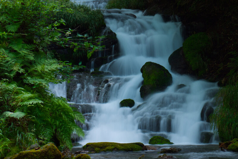 Waterfall in Forest — Green, Serene, Photograph, Rocks, Moss, Ferns