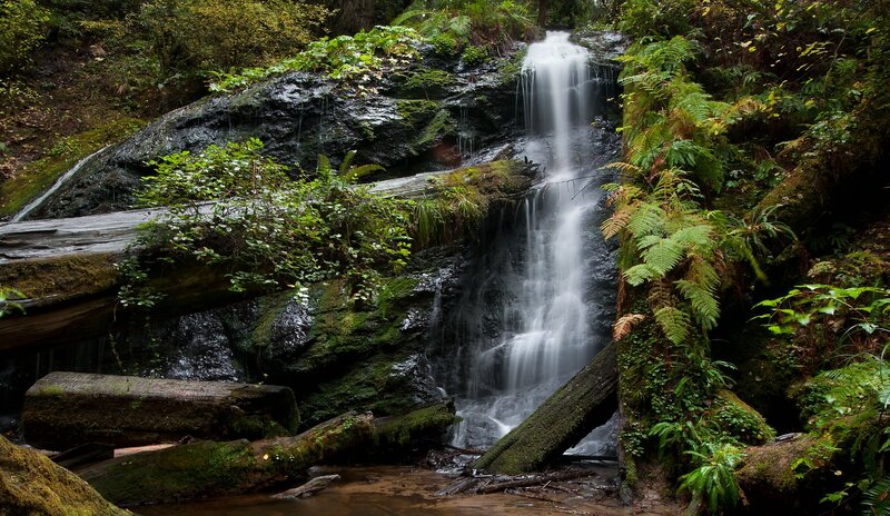 Waterfall in Forest — Green, Serene, Photograph, Rocks, Moss, Logs