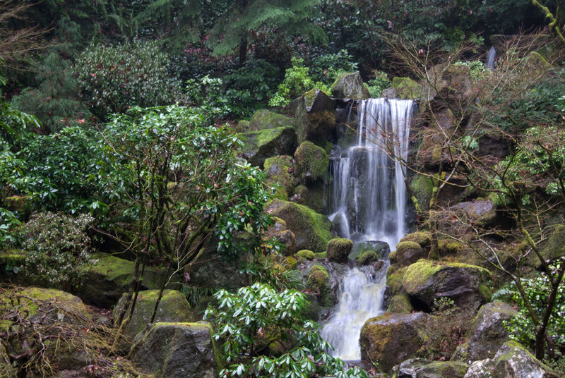 Waterfall in Forest — Green, Serene, Photograph, Rocks, Moss