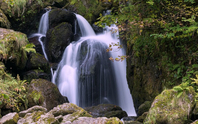Waterfall in Forest — Green, Serene, Photograph, Rocks, Moss, Trees, Ferns