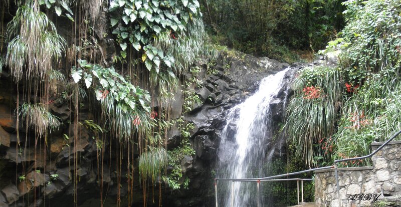 Waterfall in Forest — Green, Serene, Photograph, Rocks, Plants, Railings