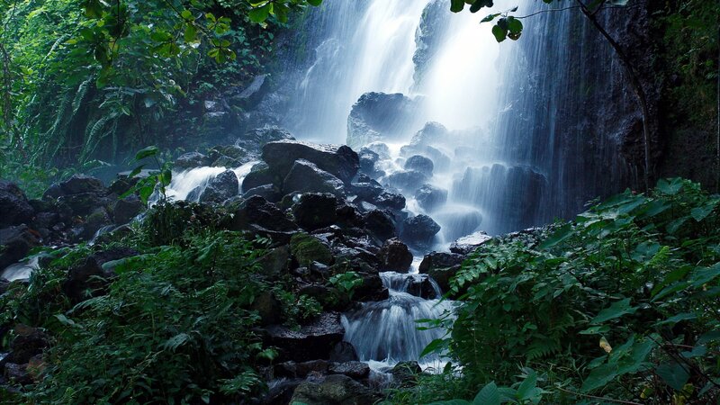 Waterfall in Forest — Green, Serene, Photograph, Rocks, Plants, Stream