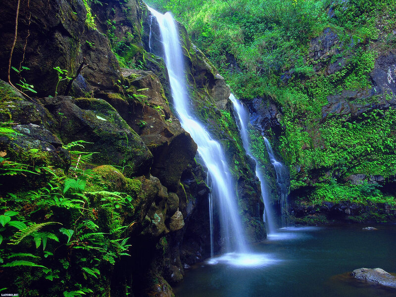 Waterfall in Forest — Green, Serene, Photograph, Rocks, Plants