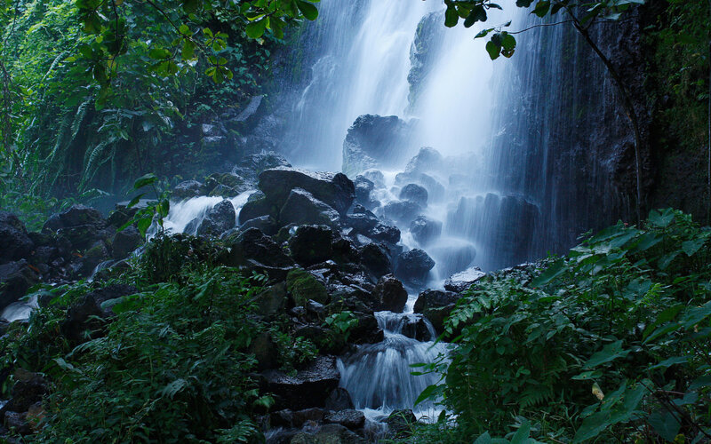 Waterfall in Forest — Green, Serene, Photograph, Rocks, Plants, Trees