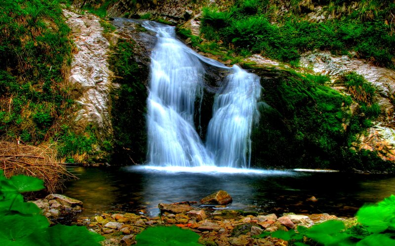 Waterfall in Forest — Green, Serene, Photograph, Rocks, Pool, Moss