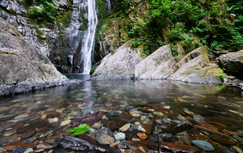 Waterfall in Forest — Green, Serene, Photograph, Rocks, Stream, Trees